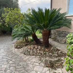 Il Giardino Delle Cycas Appartamento Romito Magra